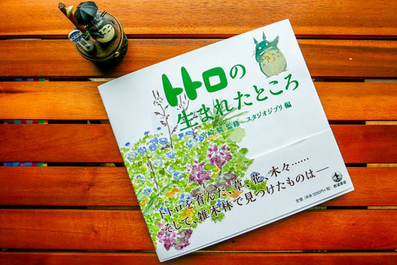 copertina totoro libro.jpg copertina totoro libro.jpg